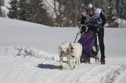 Kandersteg 2013